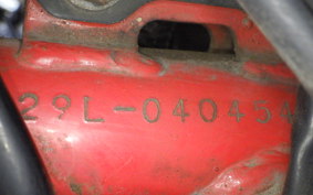 YAMAHA RZ250RR 2025 29L