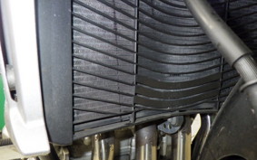 YAMAHA FZ1 FAZER 2011 RN21J