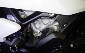 BMW S1000RR M DDC 2025