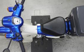 HONDA C110 SUPER CUB