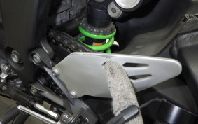 KAWASAKI NINJA ZX-6R A 2019 ZX636G