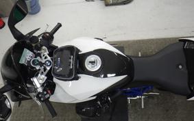 BMW HP2 SPORT 2009