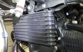 BMW R NINE T 2023