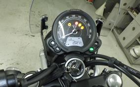 TRIUMPH SCRAMBLER 900 2024