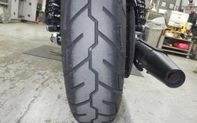 HARLEY XL883N 2021