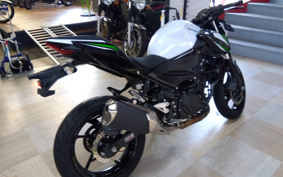 KAWASAKI Z250 EX250P