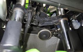 KAWASAKI NINJA 250 ABS EX250L