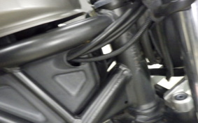 HONDA REBEL 250 2024 MC49