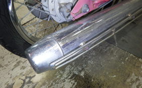 HONDA LITTLE CUB 2022 AA01