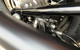 HARLEY FXBBS 2021 YYK