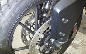 TRIUMPH TIGER 900 GT 2020