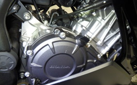 HONDA CBR250RR A MC51
