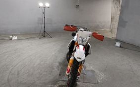 KTM 250 EXC SIXDAYS GSA20