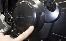 SUZUKI Vｽﾄﾛｰﾑ250 2015
