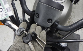 HONDA REBEL 250 MC49