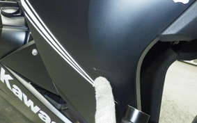 KAWASAKI NINJA 250 ABS 2020 EX250L