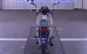 OTHER C110PU LOW 3
