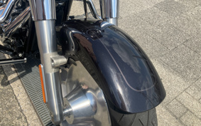 HARLEY FLFBS 2021 YGK