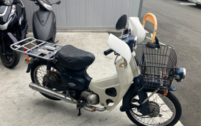 HONDA SUPER CUB50 C50