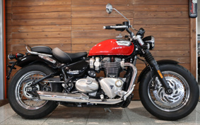 TRIUMPH TRIUMPH SPEEDMASTER 2023 DAD79H