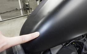 HARLEY XL883N 2021