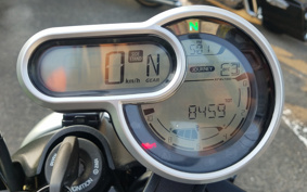 DUCATI SCRAMBLER 1100 2020