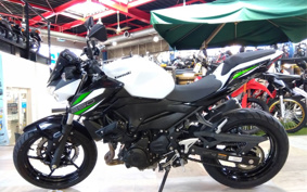 KAWASAKI Z250 EX250P