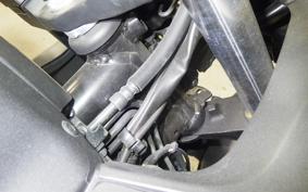 SUZUKI ｼﾞｸｻｰ250SF 2019