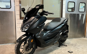 HONDA FORZA 250 MF13