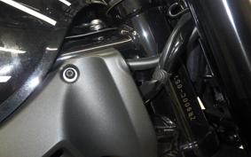 KAWASAKI Z900RS 2021 ZR900C