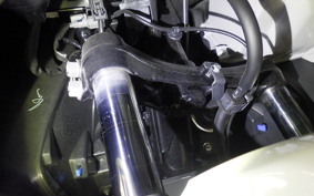 HONDA FORZA 250 2026 MF13