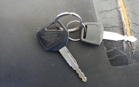 HONDA CBR1100XX 2002 SC35