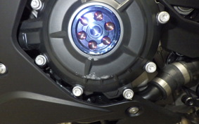 BMW S1000RR M DDC 2023