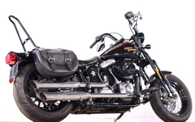 HARLEY FLSTSB 2009 JM5