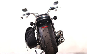HARLEY FLFBS 2022 YGK