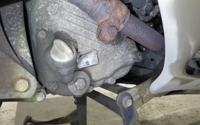 HONDA FORESIGHT SE MF04
