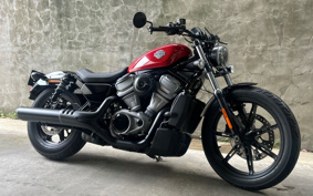 HARLEY  HARLEY RH975 NIGHT  STAR  2024 ZH1