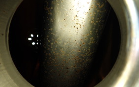 HONDA TL125 2021 JD06