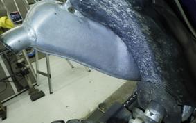 SCORPA SY250