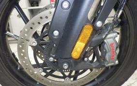 TRIUMPH TIGER 1200 GT PRO 2024