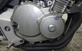 HONDA HORNET 250 2024 MC31