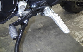 DUCATI SCRAMBLER ICON 2024