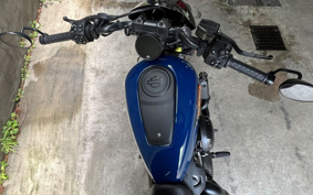 HARLEY  HARLEY RH975S NIGHT  STAR  2024 ZF1