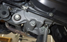 HONDA GIORNO 3 AF77