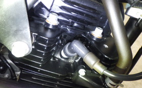 KAWASAKI KLX230 SM LX230A