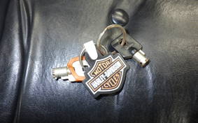 HARLEY FXDL 1340 2025