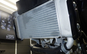 YAMAHA XSR155 2019