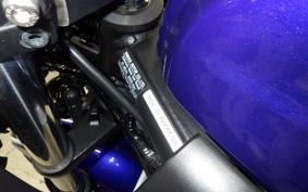 YAMAHA YZF-R25