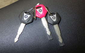 YAMAHA XSR900 GP 2024 RN96J