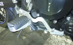 KAWASAKI KLX250D TRACKER X 2021 LX250V